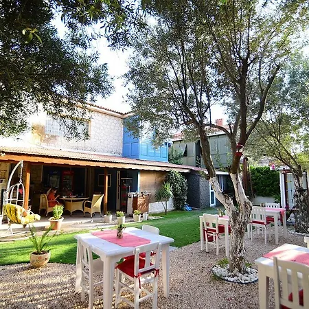 Kekik Alacati Mayko