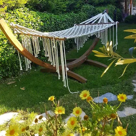 Kekik Alacati Mayko Çeşme