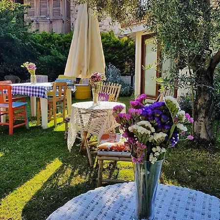 Kekik Alacati Mayko Çeşme