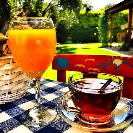 Otel Kekik Alaçatı Mayko 2*