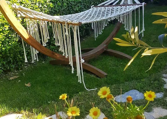 Kekik Alacati Mayko Çeşme